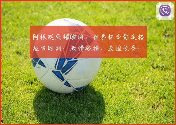 阿根廷荣耀瞬间，世界杯合影定格经典时刻，激情碰撞，友谊长存，共鉴辉煌