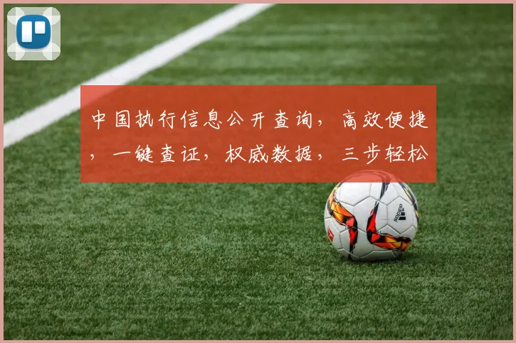中国执行信息公开查询，高效便捷，一键查证，权威数据，三步轻松搞定。